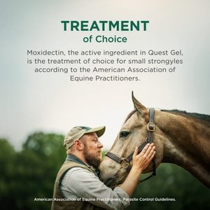 QUEST Gel Moxidectin Dewormer & Boticide for Horses & Ponies, 0.5-fl oz syringe