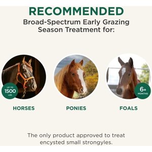 QUEST Gel Moxidectin Dewormer & Boticide for Horses & Ponies, 0.5-fl oz syringe