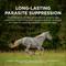 Show in main carousel: QUEST Gel Moxidectin Dewormer & Boticide for Horses & Ponies, 0.5-fl oz syringe slide 2 of 9