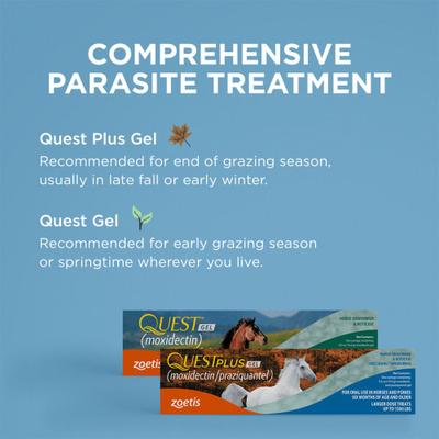 Show full view: QUEST PLUS Gel Dewormer & Boticide for Horses & Ponies, 0.5-oz syringe, 4 count slide 8 of 10