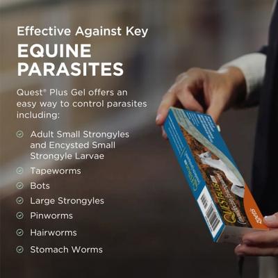 Show full view: QUEST PLUS Gel Dewormer & Boticide for Horses & Ponies, 0.5-oz syringe, 4 count slide 3 of 10