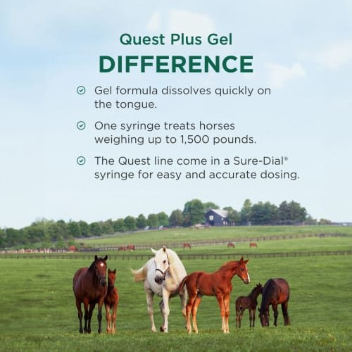 QUEST PLUS Gel Moxidectin & Praziquantel Dewormer & Boticide for Horses & Ponies, 0.5-fl oz syringe