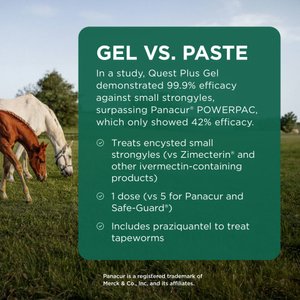QUEST PLUS Gel Moxidectin & Praziquantel Dewormer & Boticide for Horses & Ponies, 0.5-fl oz syringe