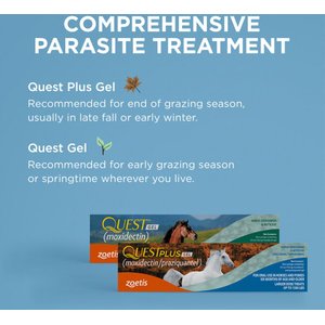 QUEST PLUS Gel Moxidectin & Praziquantel Dewormer & Boticide for Horses & Ponies, 0.5-fl oz syringe