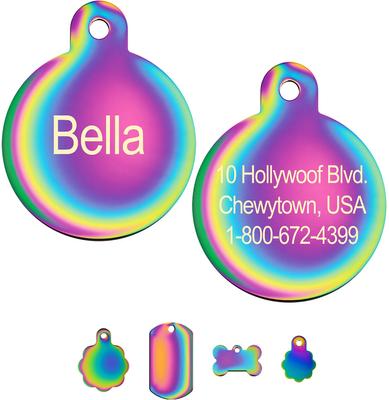 Show full view: Quick-Tag Coated Metal Personalized Dog & Cat ID Tag, Metallic Rainbow, Large Circle slide 1 of 5