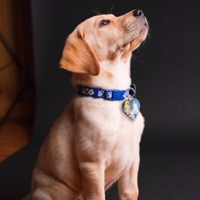 Show full view: Quick-Tag Disney Heart Personalized Dog & Cat ID Tag, Large, Cinderella Castle slide 5 of 6