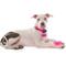 Show in main carousel: Quick-Tag Personalized Dog ID Tag, Pink Hologram slide 4 of 5