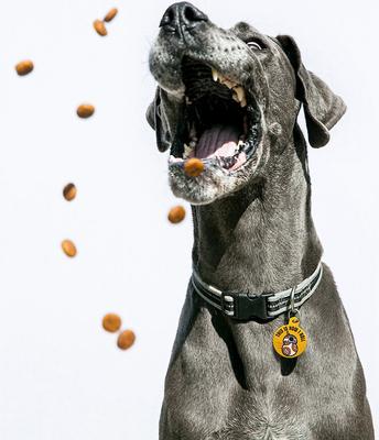 Show full view: Quick-Tag Star Wars BB-8 How I Roll Circle Personalized Dog & Cat ID Tag slide 4 of 4