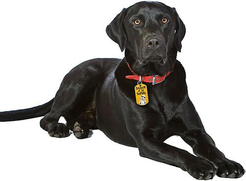 Show full view: Quick-Tag Star Wars StormTrooper Soldier of the Empire Military Personalized Dog & Cat ID Tag slide 4 of 4