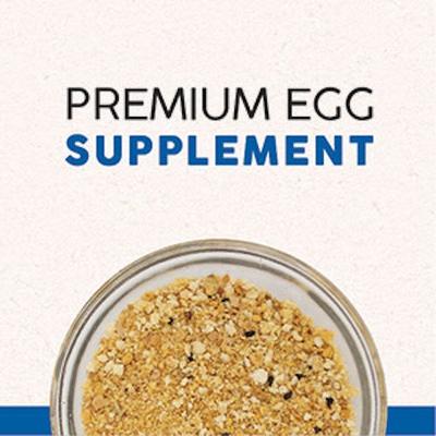 Show full view: Quiko Classic Egg Food Supplement for Canaries & Finches, 1.1-lb bag slide 4 of 8