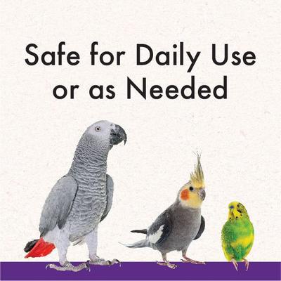 Show full view: Quiko Multivitamin Daily Balance Supplement for Birds, 1-oz bottle slide 4 of 8