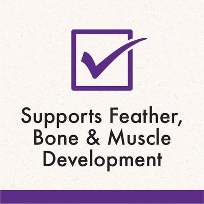 Show full view: Quiko Multivitamin Daily Balance Supplement for Birds, 1-oz bottle slide 6 of 8