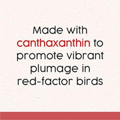 Show full view: Quiko Special Red Egg Food Supplement for Red Factor Canaries, 1.1-lb bag slide 6 of 9