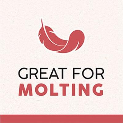 Show full view: Quiko Special Red Egg Food Supplement for Red Factor Canaries, 1.1-lb bag slide 7 of 9