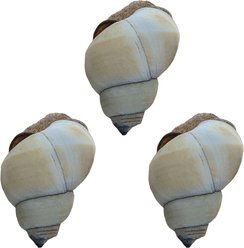 Quinn's Fins White Wizard Filopaludina Martensi Live Aquarium Snail Ornamental Invertebrate, Medium, White, 3 count slide 1 of 3