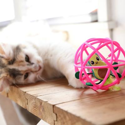 Show full view: Quirky Kitty Guacameowy Ball of Furry Fury Chasers Cat Motion Toy, Multi Color, Medium slide 4 of 5