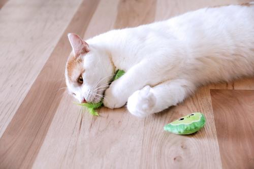 Show full view: Quirky Kitty Meowgarita Time Catnip Plush Cat Toy, 2 count slide 3 of 3