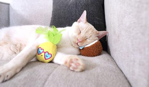 Show full view: Quirky Kitty Purrfect Pina Colada Catnip Plush Cat Toy, 2 count slide 3 of 4