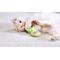 Show in main carousel: Quirky Kitty Purrfect Pina Colada Catnip Plush Cat Toy, 2 count slide 4 of 4