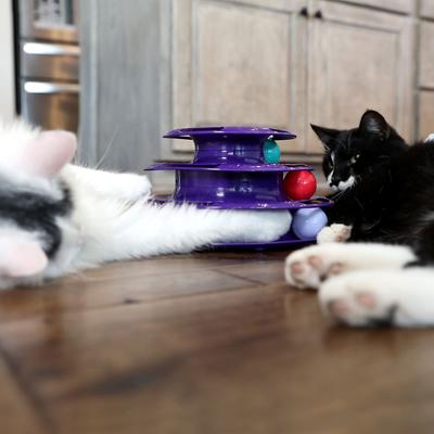 Show full view: Quirky Kitty Three Layer Ball Track Cat Toy slide 4 of 5