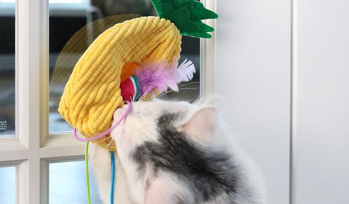 Show full view: Quirky Kitty Tropical Teaser Doornob Dangler Cat Toy slide 3 of 5