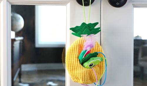 Show full view: Quirky Kitty Tropical Teaser Doornob Dangler Cat Toy slide 4 of 5