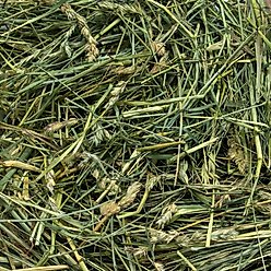 Rabbit Hole Hay Ultra Premium Hand-Packed Coarse Orchard Grass for Small Pets, 10-lb box slide 2 of 3