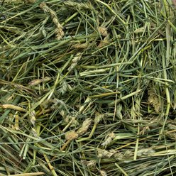 Rabbit Hole Hay Ultra Premium Hand-Packed Coarse Orchard Grass for Small Pets, 5-lb box slide 2 of 3