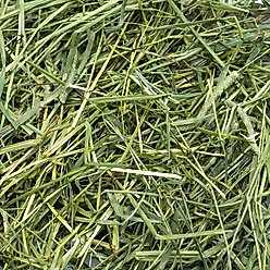 Rabbit Hole Hay Ultra Premium Hand-Packed Coarse Timothy Hay for Small Pets, 5-lb box slide 2 of 3