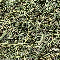 Rabbit Hole Hay Ultra Premium Hand-Packed Medium Timothy Hay for Small Pets, 10-lb box slide 2 of 3