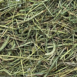 Rabbit Hole Hay Ultra Premium Hand-Packed Medium Timothy Hay for Small Pets, 12-oz bag slide 2 of 2