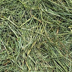 Rabbit Hole Hay Ultra Premium Hand-Packed Mountain Grass for Small Pets, 12-oz bag slide 2 of 2