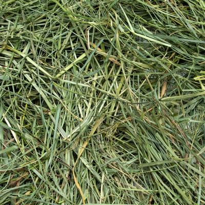 Show full view: Rabbit Hole Hay Ultra Premium Hand-Packed Mountain Grass for Small Pets, 12-oz bag slide 2 of 3