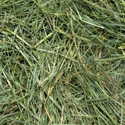 Rabbit Hole Hay Ultra Premium Hand-Packed Mountain Grass for Small Pets, 24-oz bag slide 2 of 4