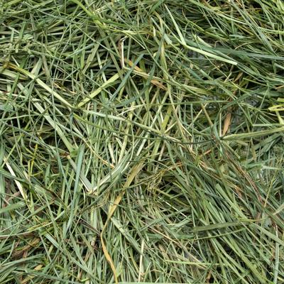 Show full view: Rabbit Hole Hay Ultra Premium Hand-Packed Mountain Grass for Small Pets, 5-lb bag slide 2 of 4