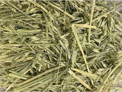 Rabbit Hole Hay Ultra Premium Hand-Packed Oat Hay for Small Pets, 4-oz bag slide 2 of 2