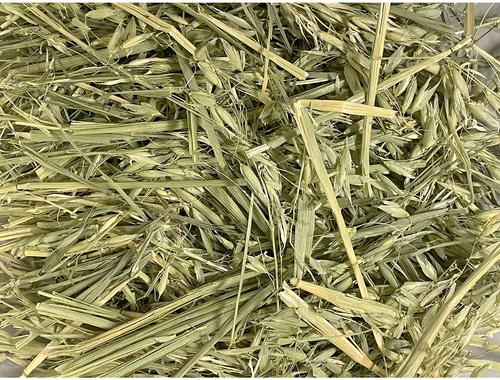 Show full view: Rabbit Hole Hay Ultra Premium Hand-Packed Oat Hay for Small Pets, 5-lb bag slide 2 of 3