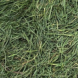 Rabbit Hole Hay Ultra Premium Hand-Packed Soft Orchard Grass for Small Pets, 40-lb box slide 2 of 3