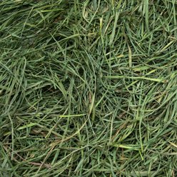 Rabbit Hole Hay Ultra Premium Hand-Packed Soft Orchard Grass for Small Pets, 5-lb box slide 2 of 3