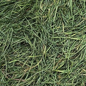 Rabbit Hole Hay Ultra Premium Hand-Packed Soft Orchard Grass for Small Pets, 5-lb box