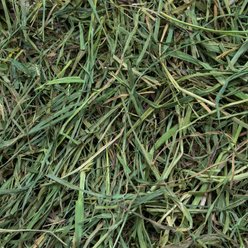 Rabbit Hole Hay Ultra Premium Hand-Packed Soft Timothy Hay for Small Pets, 4-oz bag slide 2 of 3