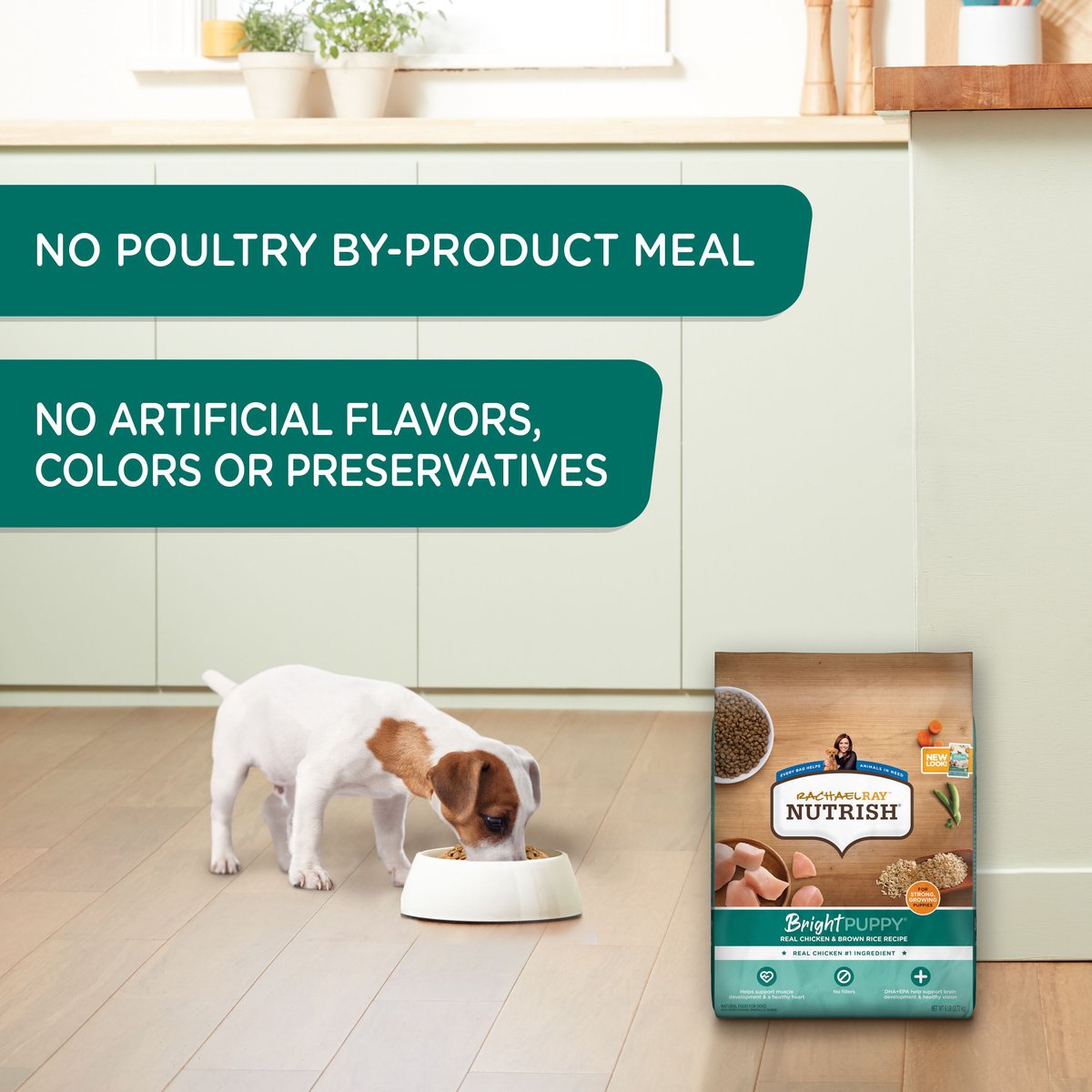 Rachael Ray Nutrish Bright Puppy Dry Dog Food - Real Chicken & Brown Rice Recipe, 14lb Bag