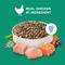 Show in main carousel: Rachael Ray Nutrish Indoor Complete Chicken, Lentils & Salmon Recipe Dry Cat Food, 14-lb bag slide 5 of 13