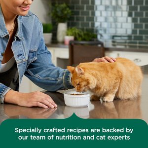 Rachael Ray Nutrish Indoor Complete Chicken, Lentils & Salmon Recipe Dry Cat Food, 14-lb bag