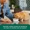 Show in main carousel: Rachael Ray Nutrish Indoor Complete Chicken, Lentils & Salmon Recipe Dry Cat Food, 14-lb bag slide 7 of 13