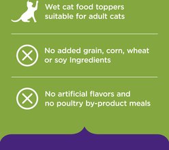 Rachael Ray Nutrish Purrfect Broths Lickable Complements Classic Chicken Recipe Wet Cat Food Topper, 1.4-oz pouch, case of 24 slide 2 of 8