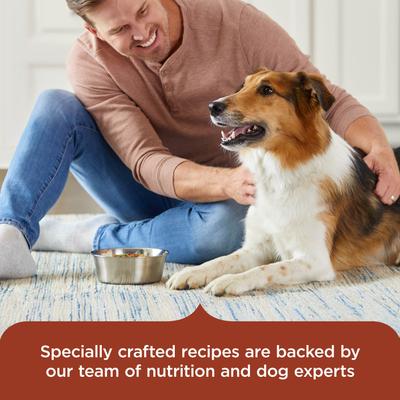 Show full view: Rachael Ray Nutrish Savory Favorites Variety Pack Wet Dog Food, 8-oz tub, case of 6 slide 6 of 12