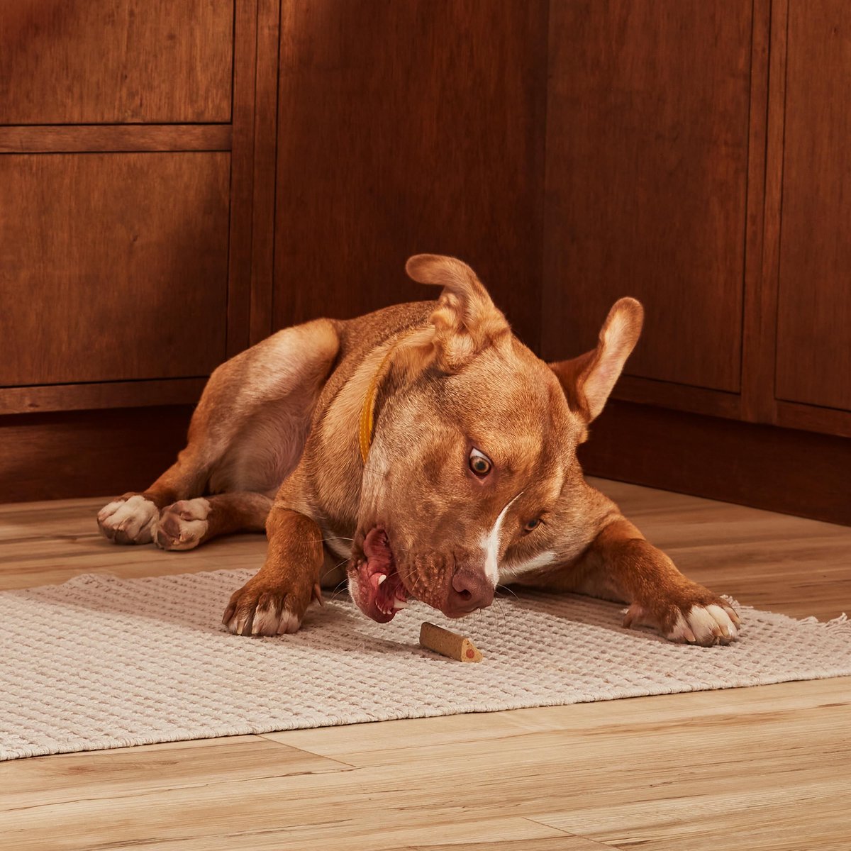 Rachael Ray Nutrish Soup Bones Breath-Freshening Minty with Real Chicken Dog Dental Chews Treat