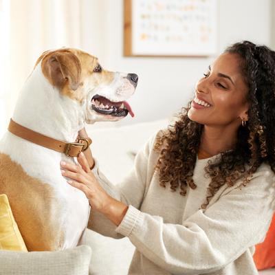 Show full view: Rachael Ray Nutrish Turkey & Rice Flavor Soup Bones Dog Treats, 23.1-oz bag slide 6 of 11