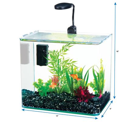 Show full view: Radius Curved Corner Glass Aquarium Kit, Black, 3.4 gal slide 3 of 3